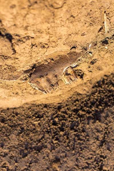 Wykopaliska Archeologiczne Pozostałości Osady Scytowie — Zdjęcie stockowe