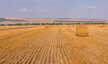 Alandan sonra hasat, büyük yuvarlak balya saman