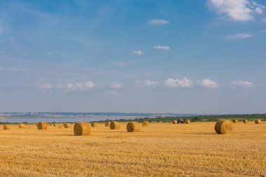 Alandan sonra hasat, büyük yuvarlak balya saman
