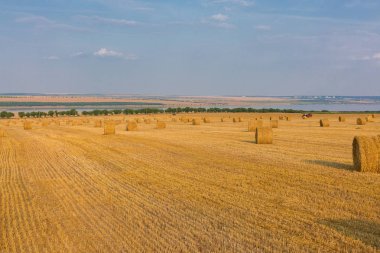 Alandan sonra hasat, büyük yuvarlak balya saman
