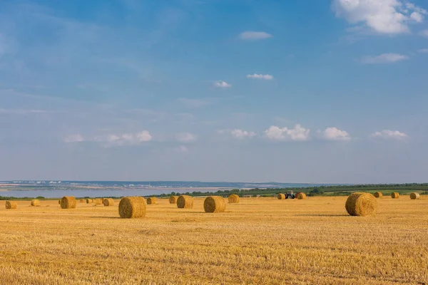 Alandan sonra hasat, büyük yuvarlak balya saman