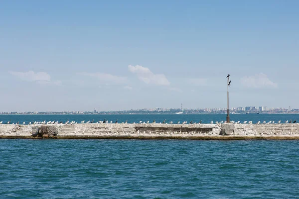 Barselona şehrinin manzarası