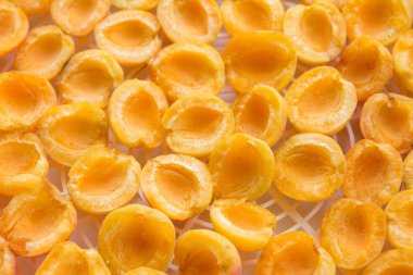 taze olgun kayısı görünümü top