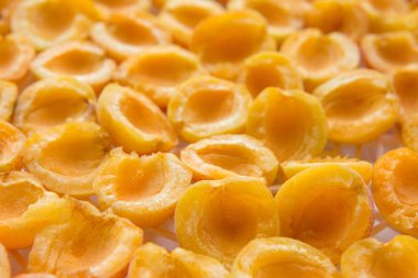 taze olgun kayısı görünümü top