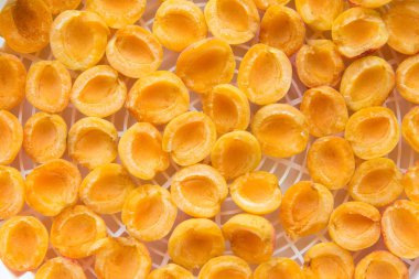 taze olgun kayısı görünümü top