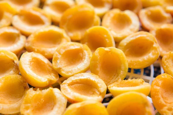 taze olgun kayısı görünümü top