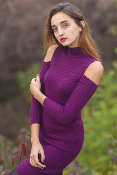 Mädchen Fliederfarbenem Kleid Über Die Natur Herbst Porträt Eines Schönen — Stockfoto