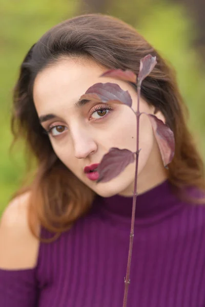 Mädchen Fliederfarbenem Kleid Über Die Natur Herbst Porträt Eines Schönen — Stockfoto
