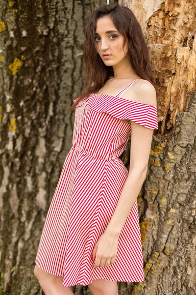 Portrait Une Belle Fille Été Dans Forêt — Photo