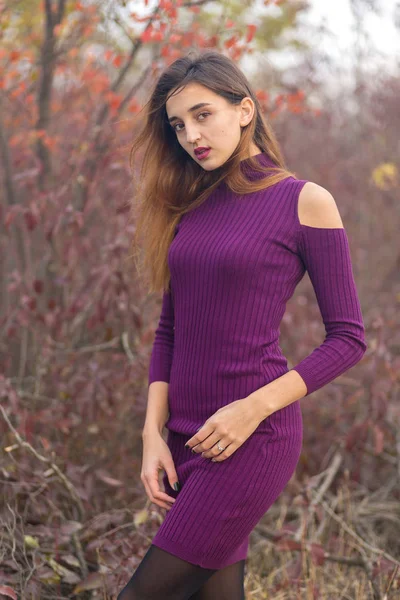 Mädchen Fliederfarbenem Kleid Über Die Natur Herbst Porträt Eines Schönen — Stockfoto