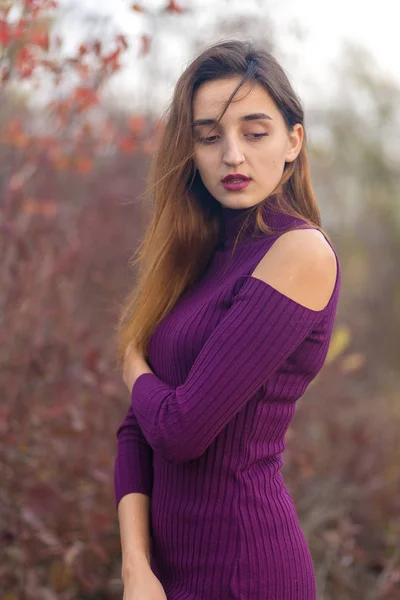 Chica Vestido Lila Naturaleza Otoño Retrato Una Hermosa Niña Otoño — Foto de Stock