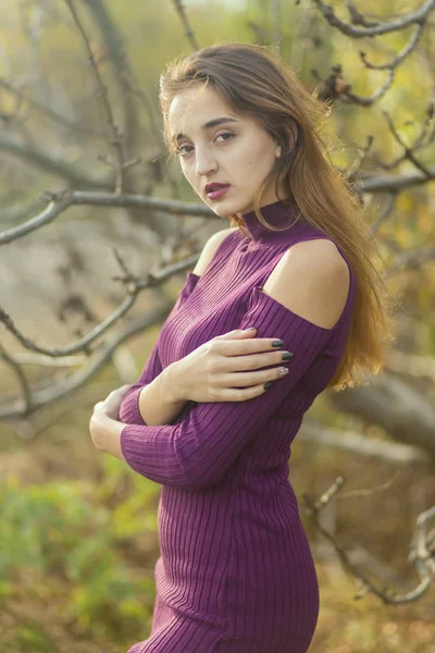 Menina Vestido Lilás Natureza Outono Retrato Uma Menina Bonita Outono — Fotografia de Stock