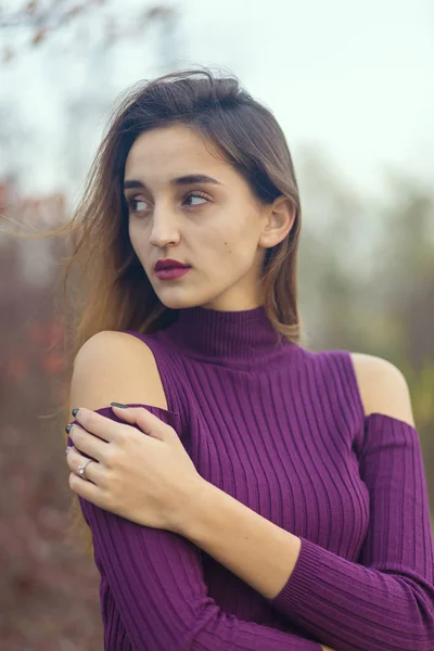 Mädchen Fliederfarbenem Kleid Über Die Natur Herbst Porträt Eines Schönen — Stockfoto