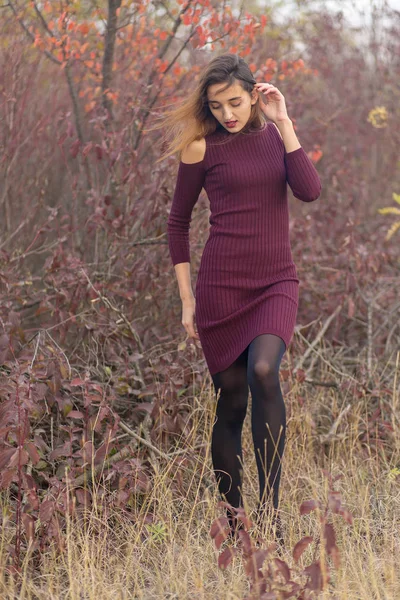 Mädchen Fliederfarbenem Kleid Über Die Natur Herbst Porträt Eines Schönen — Stockfoto