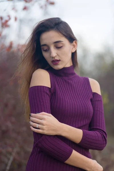 Mädchen Fliederfarbenem Kleid Über Die Natur Herbst Porträt Eines Schönen — Stockfoto