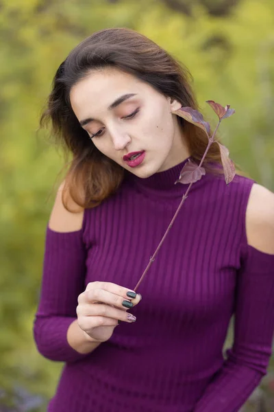 Chica Vestido Lila Naturaleza Otoño Retrato Una Hermosa Niña Otoño — Foto de Stock