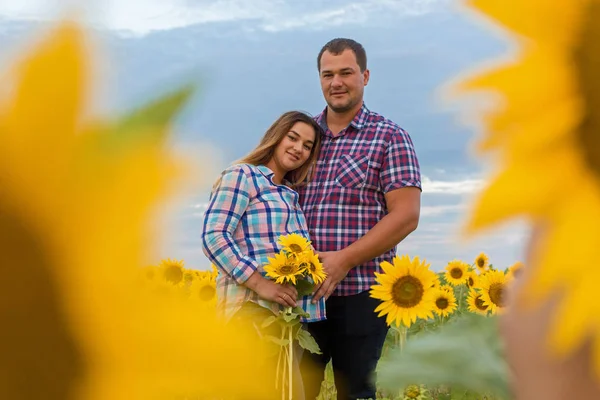 Young couple in a field of sunflowers, pregnant girl in sunflowers