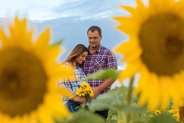 Pareja Joven Campo Girasoles Chica Embarazada Girasoles — Foto de Stock