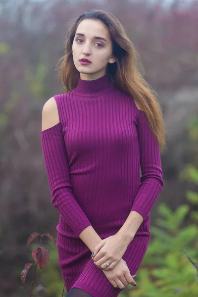Mädchen Fliederfarbenem Kleid Auf Der Natur Herbst Schönes Sexy Porträt — Stockfoto