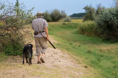 Bir Alman drathaar ve İspanyol, köpeklerle ava güvercin ile avcılar