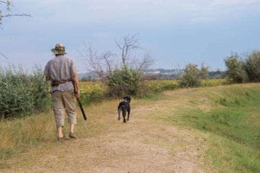 Bir Alman drathaar ve İspanyol, köpeklerle ava güvercin ile avcılar
