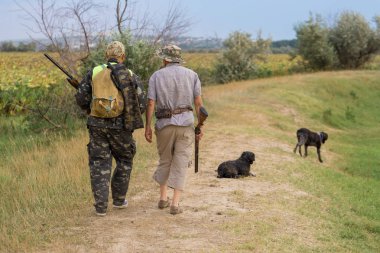 Bir Alman drathaar ve İspanyol, köpeklerle ava güvercin ile avcılar