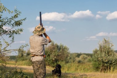 Bir Alman drathaar ve İspanyol, güvercin ile yansıtıcı yelek köpeklerde avcılık avcı