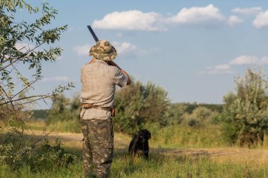 Bir Alman drathaar ve İspanyol, güvercin ile yansıtıcı yelek köpeklerde avcılık avcı