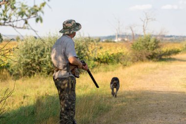 Bir Alman drathaar ve İspanyol, güvercin ile yansıtıcı yelek köpeklerde avcılık avcı