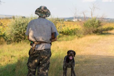 Bir Alman drathaar ve İspanyol, güvercin ile yansıtıcı yelek köpeklerde avcılık avcı