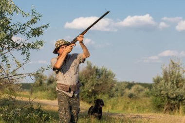 Bir Alman drathaar ve İspanyol, güvercin ile yansıtıcı yelek köpeklerde avcılık avcı