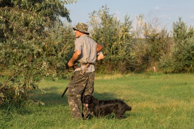 Bir Alman drathaar ve İspanyol, güvercin ile yansıtıcı yelek köpeklerde avcılık avcı