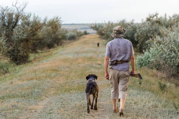 Cazador Con Drathaar Alemán Spaniel Caza Palomas Con Perros Chalecos — Foto de Stock