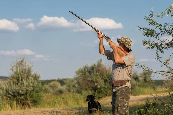 Bir Alman drathaar ve İspanyol, güvercin ile yansıtıcı yelek köpeklerde avcılık avcı