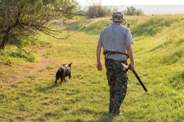 Bir Alman drathaar ve İspanyol, güvercin ile yansıtıcı yelek köpeklerde avcılık avcı