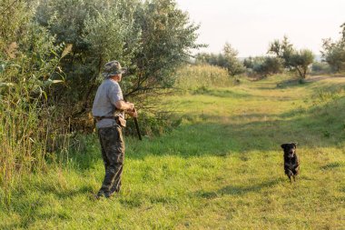 Bir Alman drathaar ve İspanyol, güvercin ile yansıtıcı yelek köpeklerde avcılık avcı