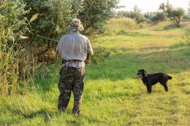 Bir Alman drathaar ve İspanyol, güvercin ile yansıtıcı yelek köpeklerde avcılık avcı