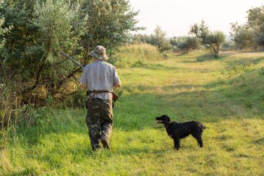 Bir Alman drathaar ve İspanyol, güvercin ile yansıtıcı yelek köpeklerde avcılık avcı