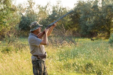 Bir Alman drathaar ve İspanyol, güvercin ile yansıtıcı yelek köpeklerde avcılık avcı