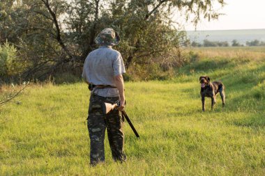 Bir Alman drathaar ve İspanyol, güvercin ile yansıtıcı yelek köpeklerde avcılık avcı