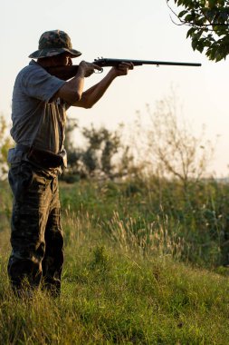 Bir Alman drathaar ve İspanyol, güvercin ile yansıtıcı yelek köpeklerde avcılık avcı