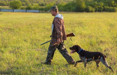 Bir Alman drathaar ve İspanyol, güvercin ile yansıtıcı yelek köpeklerde avcılık avcı