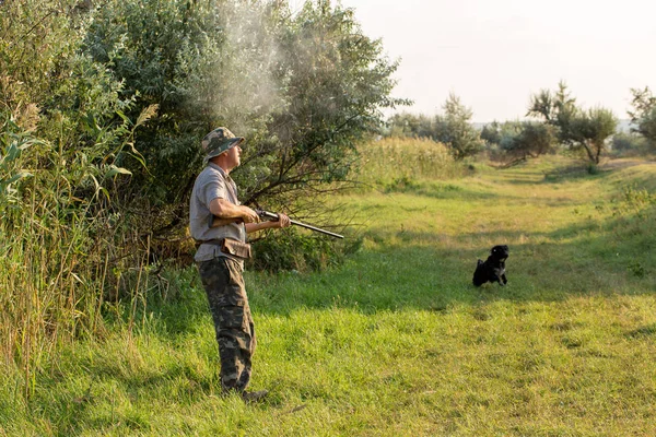 Bir Alman Drathaar Spanyol Güvercin Ile Yansıtıcı Yelek Köpeklerde Avcılık — Stok fotoğraf