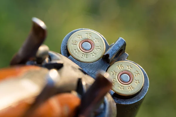 Carga Rifle Caza Liso Caza Faisán Con Perros — Foto de Stock