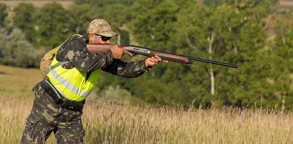 Hunters German Drathaar Spaniel Pigeon Hunting Dogs — Stock Photo, Image