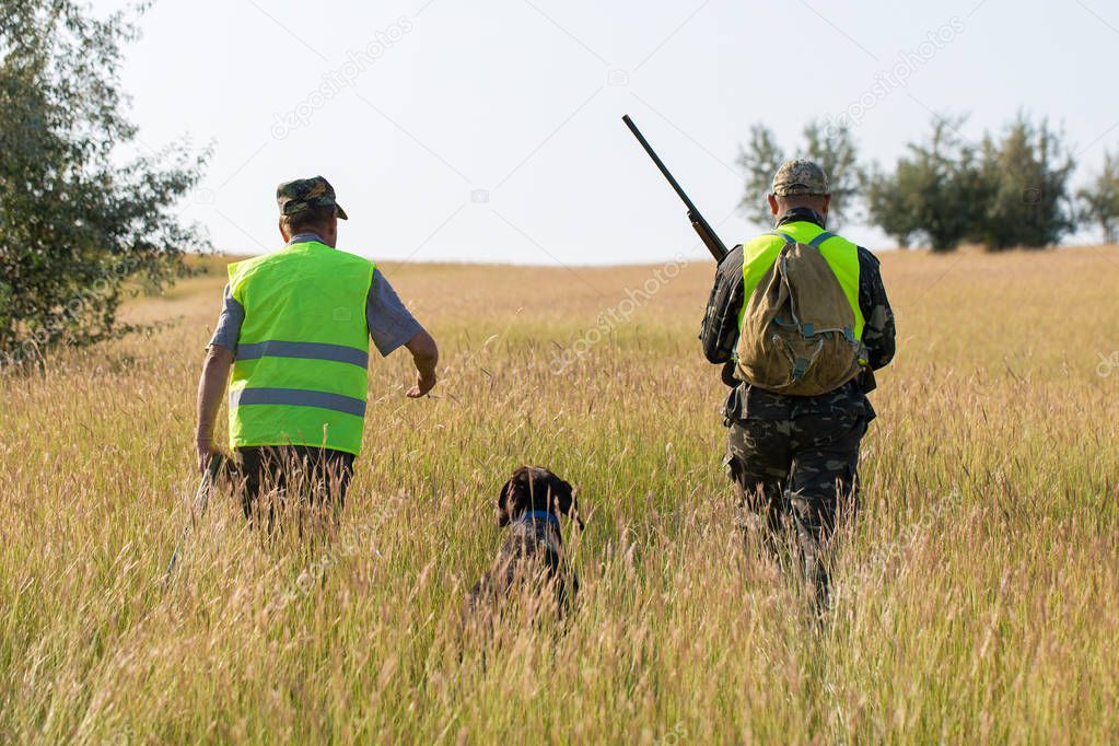 Hunters with a german drathaar and spaniel, pigeon hunting with dogs