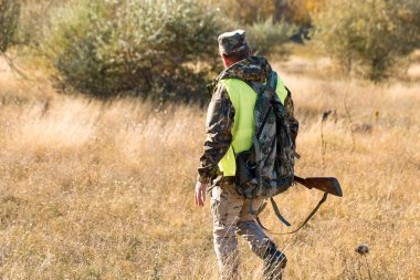 Alman bir drathaar ve spanyel ile avcılar, yansıtıcı yelek giymiş köpeklerle güvercin avlıyorlar.