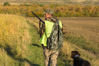 Alman bir drathaar ve spanyel ile avcılar, yansıtıcı yelek giymiş köpeklerle güvercin avlıyorlar.