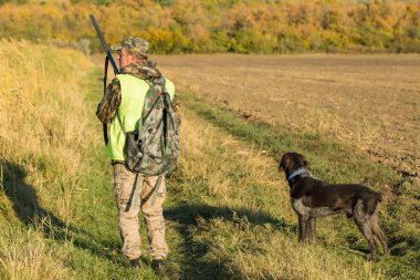 Alman bir drathaar ve spanyel ile avcılar, yansıtıcı yelek giymiş köpeklerle güvercin avlıyorlar.
