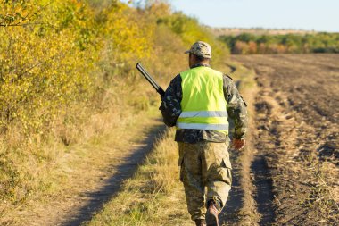 Alman bir drathaar ve spanyel ile avcılar, yansıtıcı yelek giymiş köpeklerle güvercin avlıyorlar.